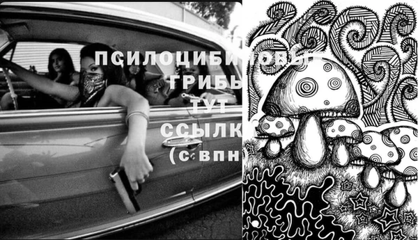 тгк Кинешма