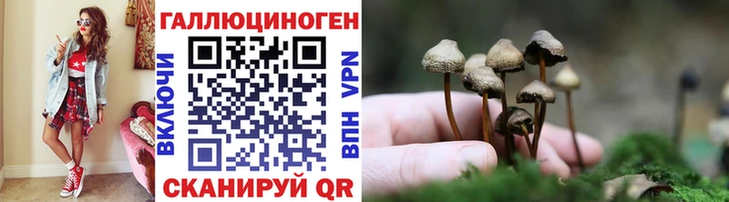 omg   Калтан  Псилоцибиновые грибы Psilocybe 
